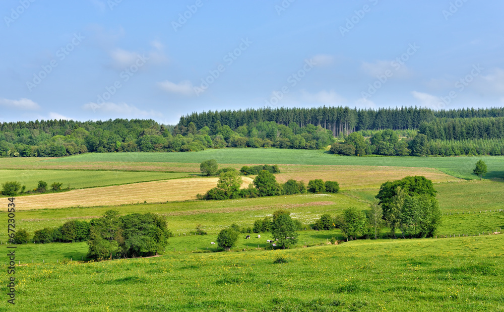 landscape in Walloon, province Namur in Belgium landscape in Walloon, province Namur in Belgium