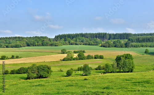 landscape in Walloon, province Namur in Belgium