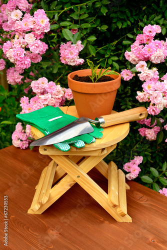 Gardening tools on wooden table and rose flowers