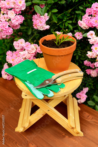 Gardening tools on wooden table and rose flowers