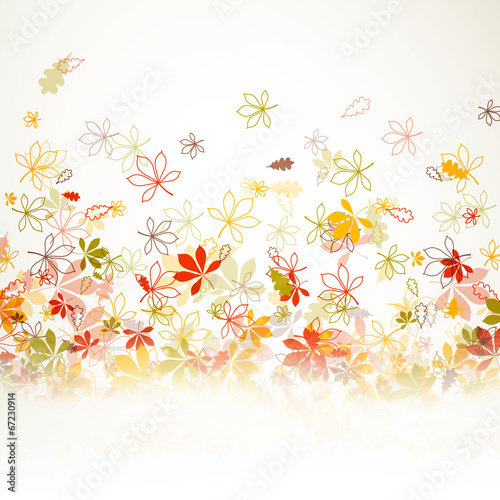 Vector Illustration of Autumn Leaves