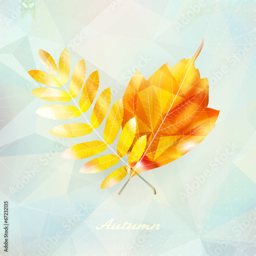 Autumnal leaf background made of triangles.