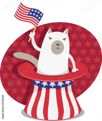 Illustration of a cranky cat sitting in Uncle Sam hat.