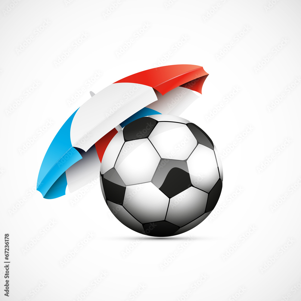 ballon de foot et drapeau français - obrazy, fototapety, plakaty 