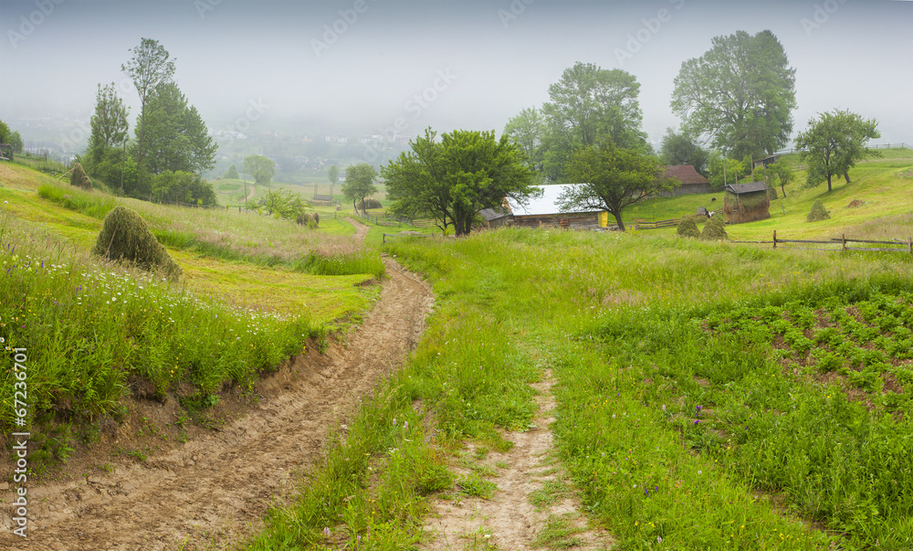 Haymaking in a Carpathian village.