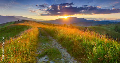 Panorama of the colorful summer evening  in the mountains.