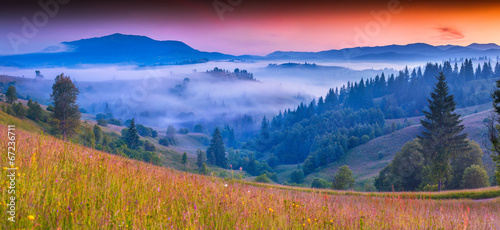 Fototapeta Naklejka Na Ścianę i Meble -  Foggy summer morning in the Carpathian mountains.