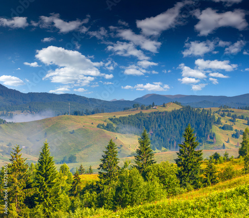 Beautiful summer landscape in the mountains.