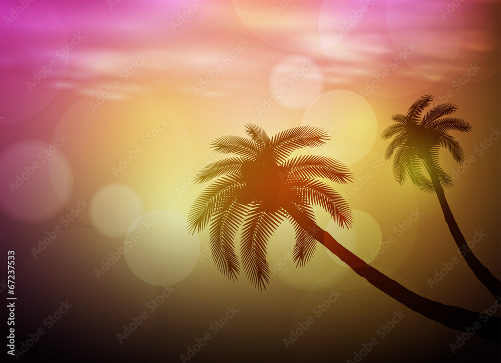 Sunset with palm, easy all editable