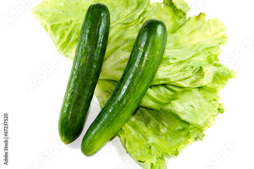 Frische Grüne Gurken mit Eisberg Salat
