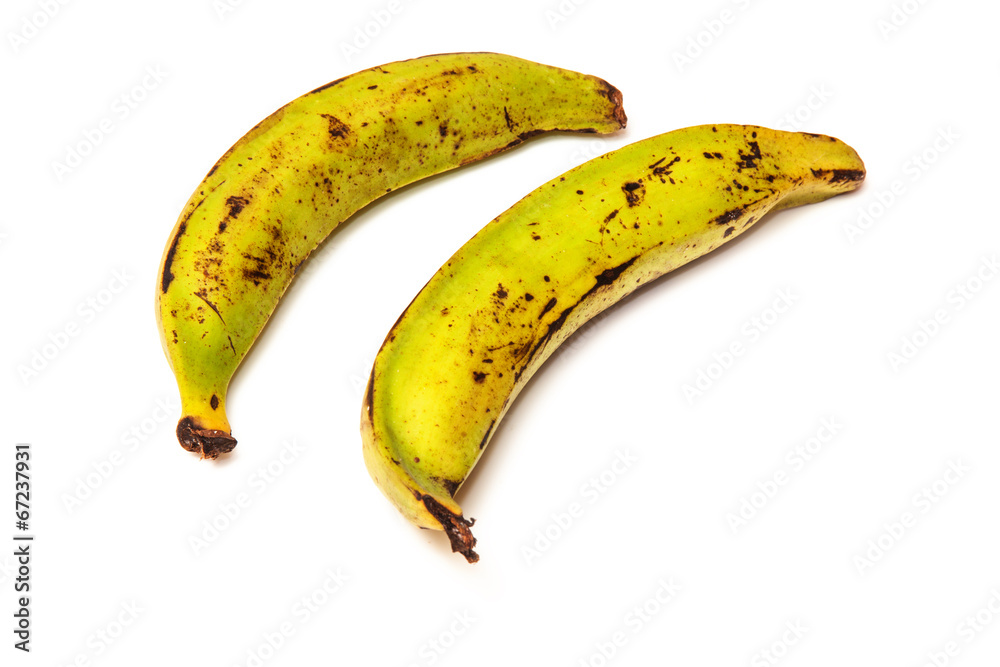 .Plantain bananas isolated on a white background .Plantain bananas isolated on a white background