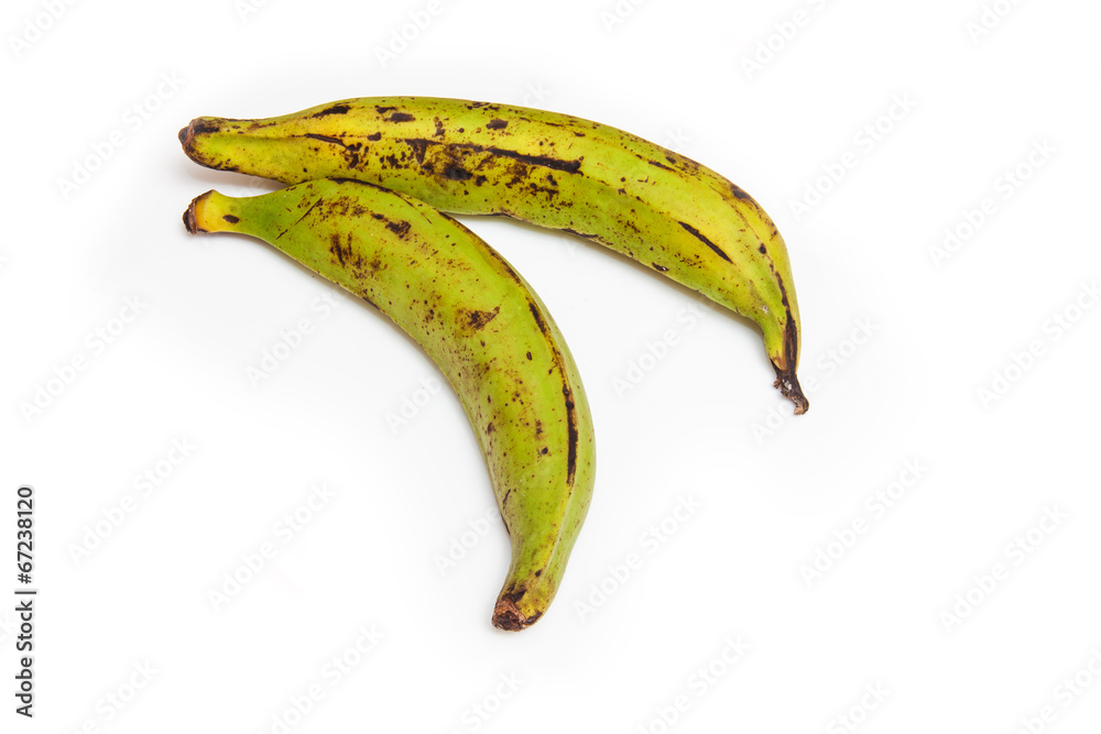 .Plantain bananas isolated on a white background .Plantain bananas isolated on a white background
