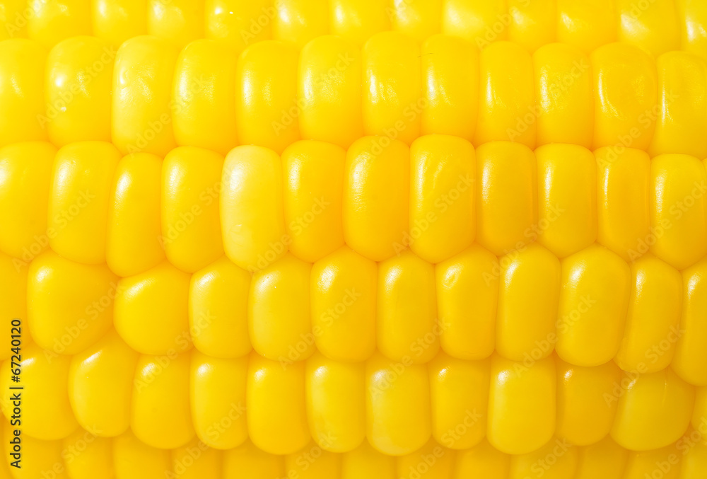 corn background, macro closeup corn background, macro closeup