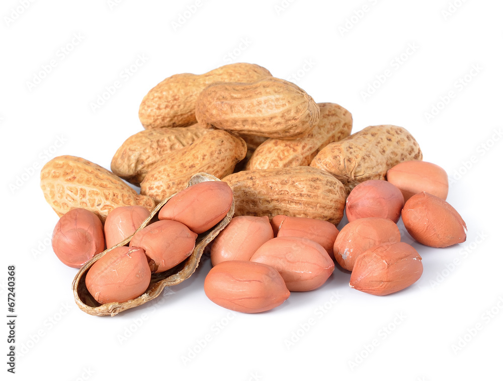 custom made wallpaper toronto digitalPeanuts on white background