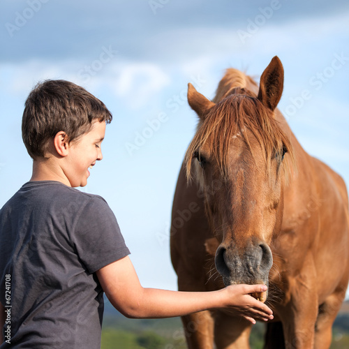 A happy child feeding a hungry brown horse
