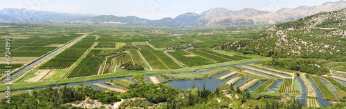 Agricultural crops along the river Neretvi