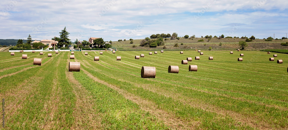 Summer rural landscape with a field and haystacks