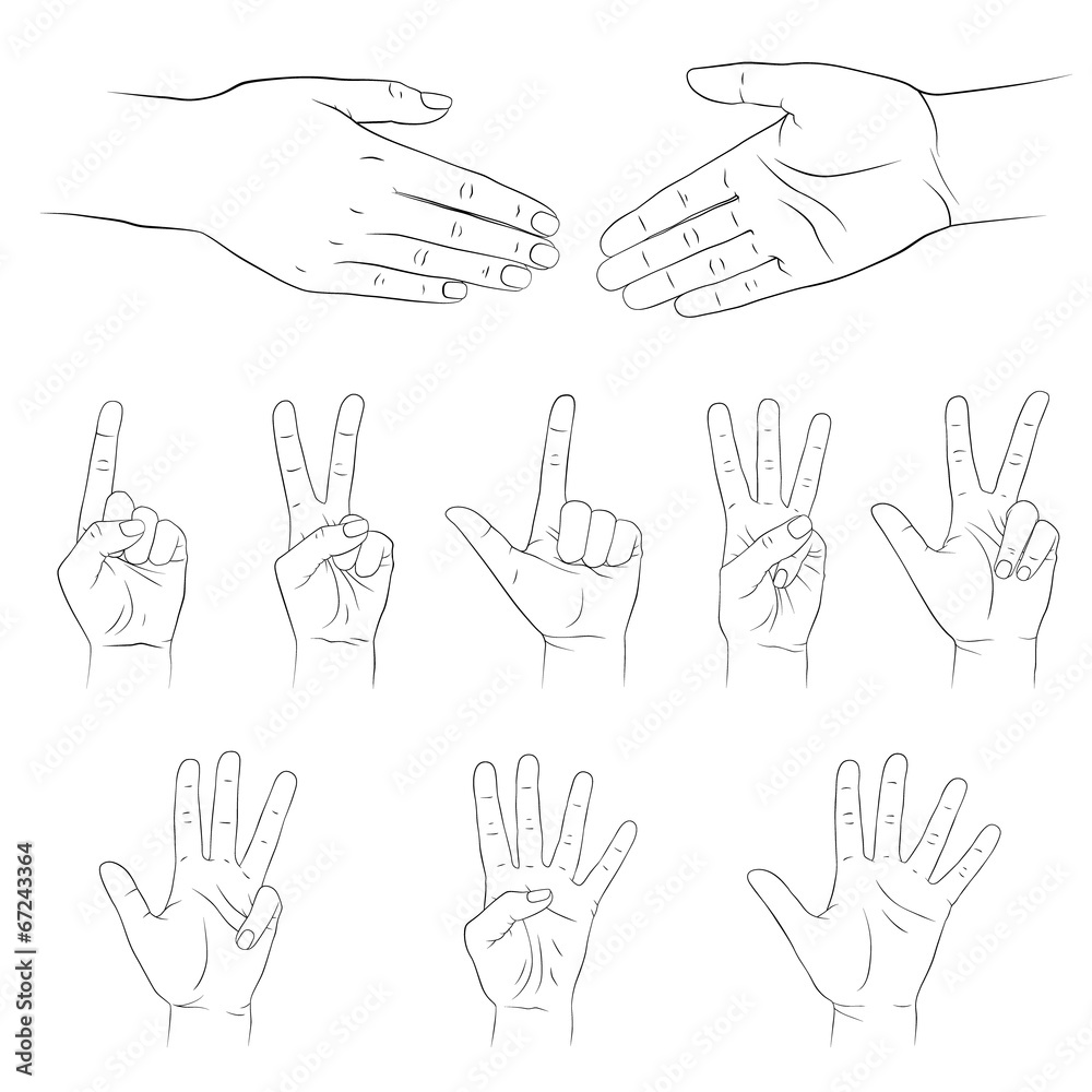 Obraz premium Hands. Vector set. Isolated on white background