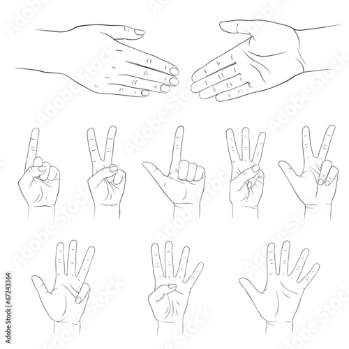 Hands. Vector set. Isolated on white background