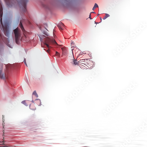 Fototapeta Naklejka Na Ścianę i Meble -  Red tulips with green grass and butterfly.