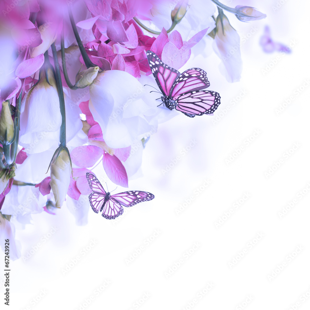 Bouquet of white and pink roses, butterfly. Floral background. - obrazy, fototapety, plakaty 