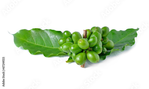 coffee beans and leaf on white background.