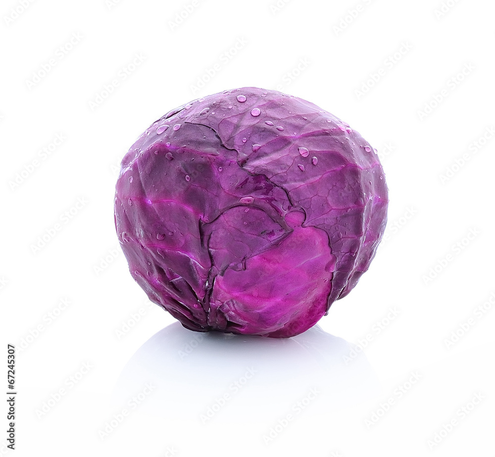 fresh red cabbage on a white background fresh red cabbage on a white background