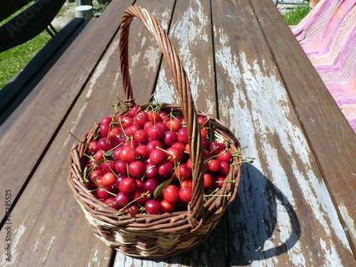 Panier de cerises