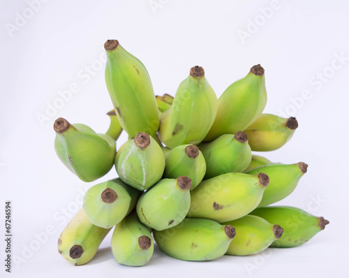 cultivated banana