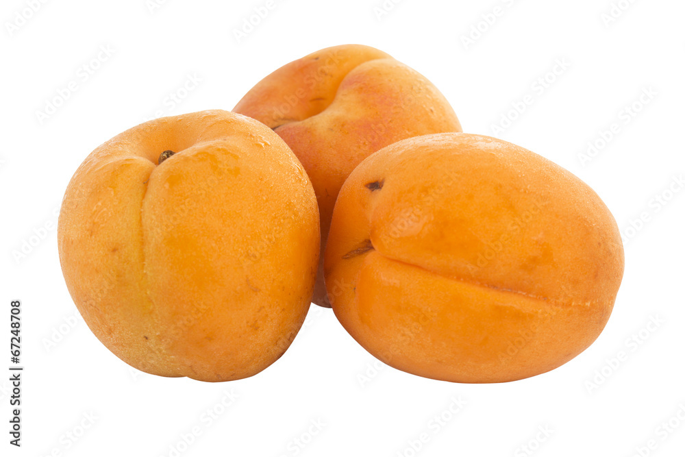 Fresh Apricot