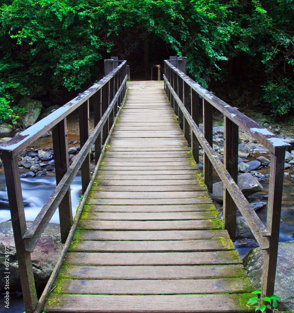 Bridge across flowing water in forest