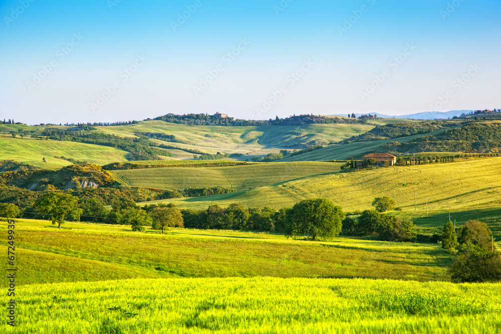 Classical rural landscape in Tuscany  in morning in  summer