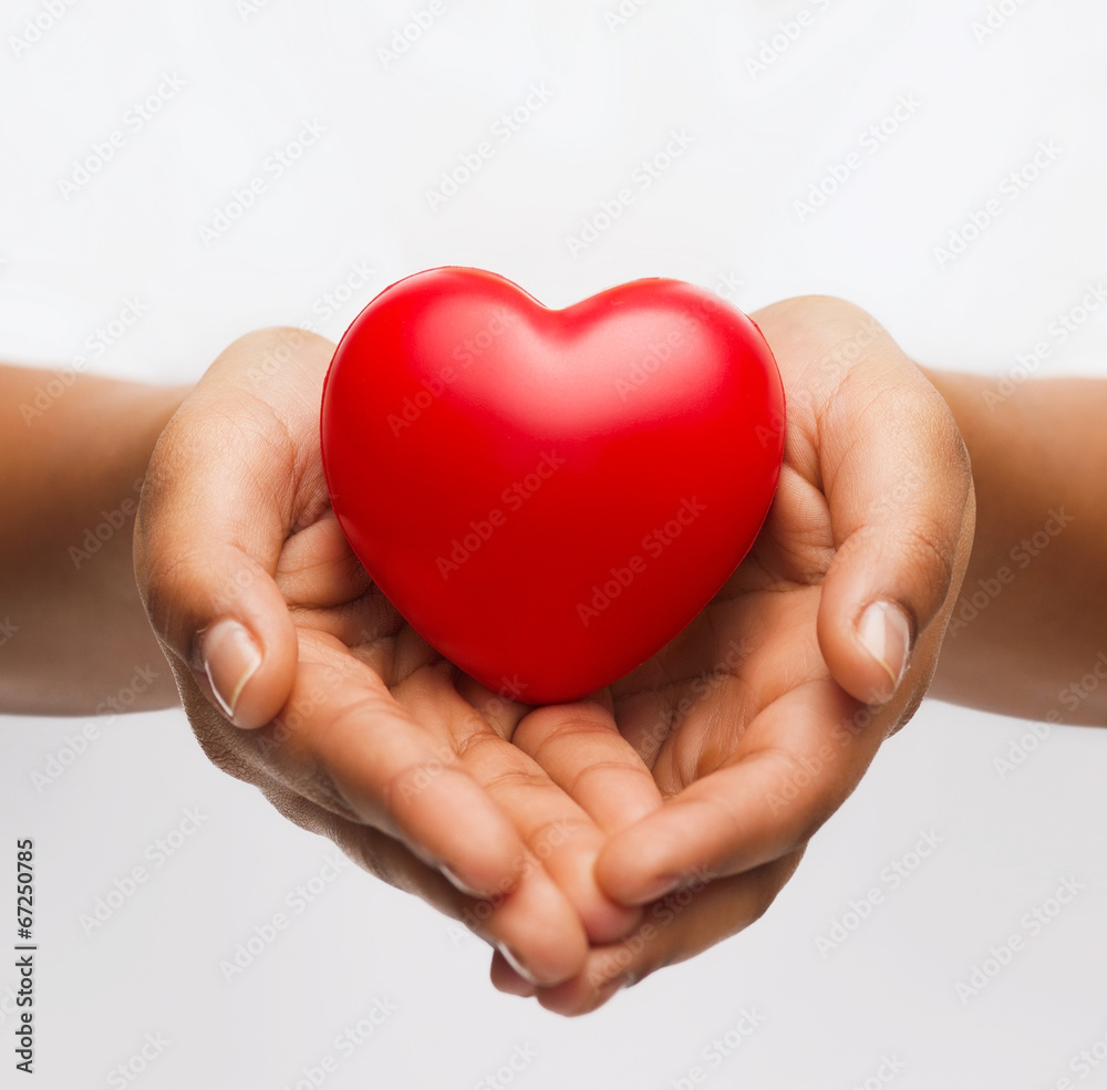 female hands with small red heart female hands with small red heart