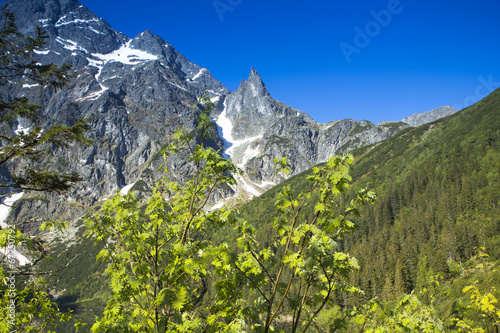 Fototapeta Naklejka Na Ścianę i Meble -  Góry Tatry