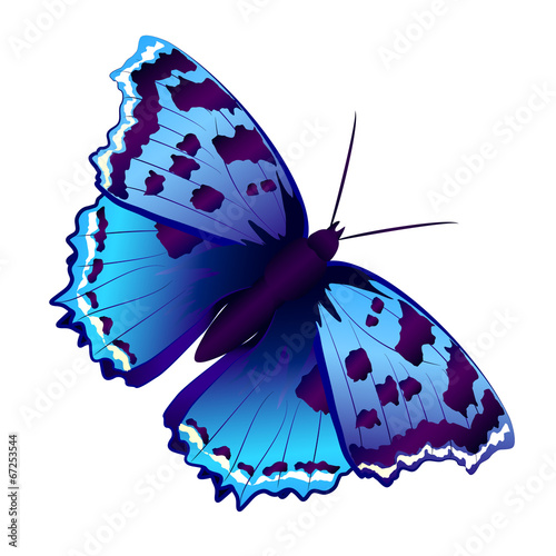 butterflies design