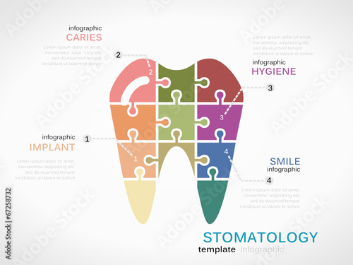 Stomatology concept infographic template with tooth