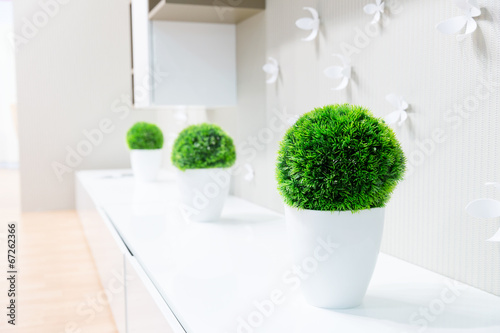 White interior with grass