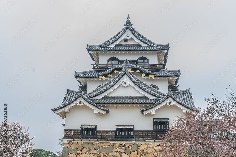 春の彦根城の天守閣