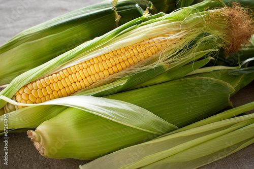 Canvas Print Corn on the cob