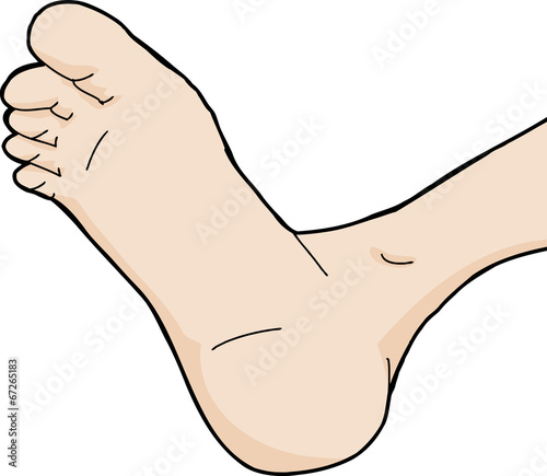 Isolated Foot