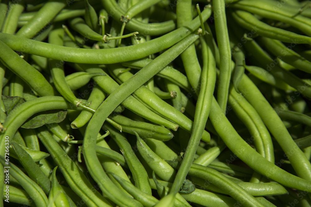 Beautiful organic green beans at the farmers market Beautiful organic green beans at the farmers market