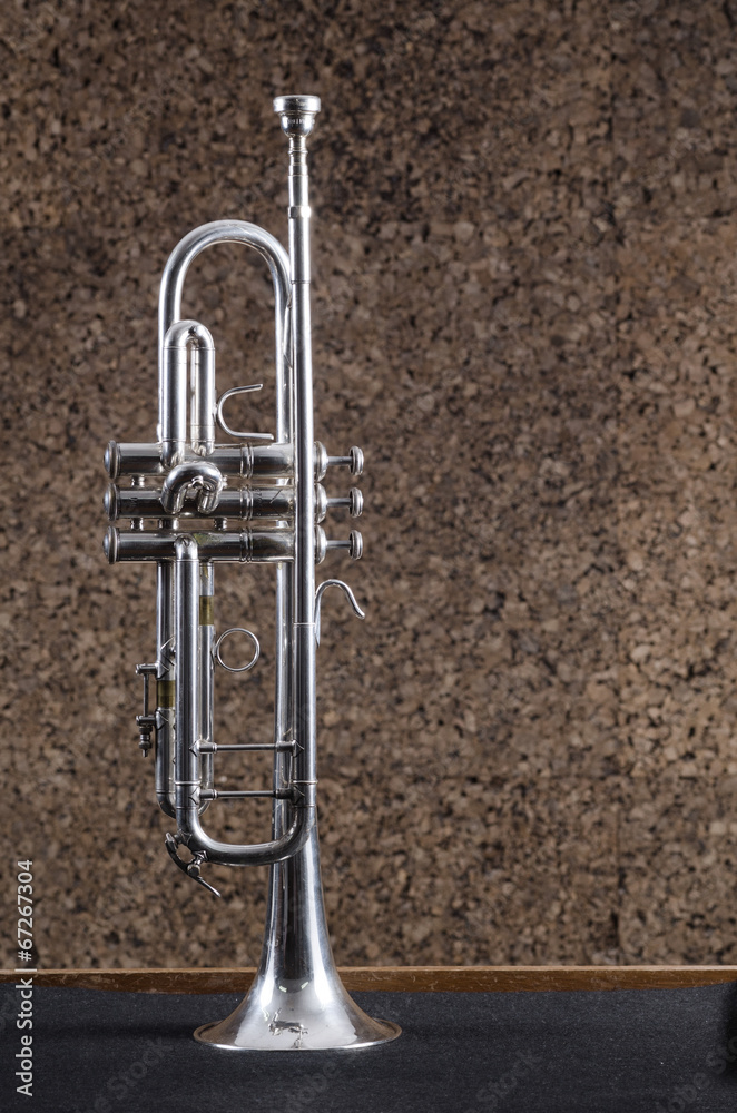 Fototapeta premium Trumpet