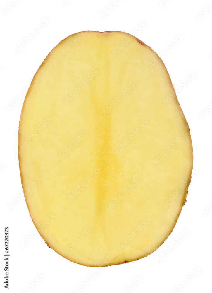 Half of Potato Isolated on White Background