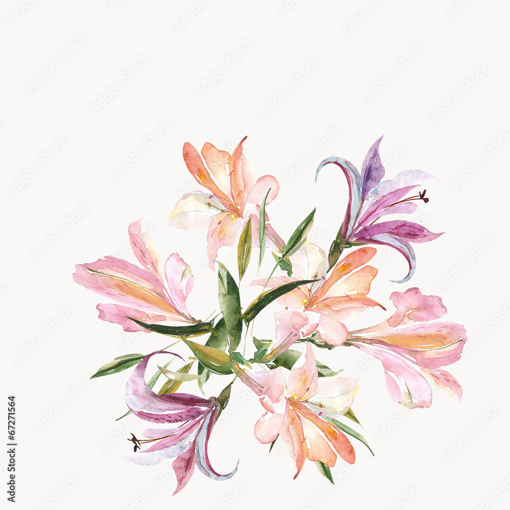lily lily