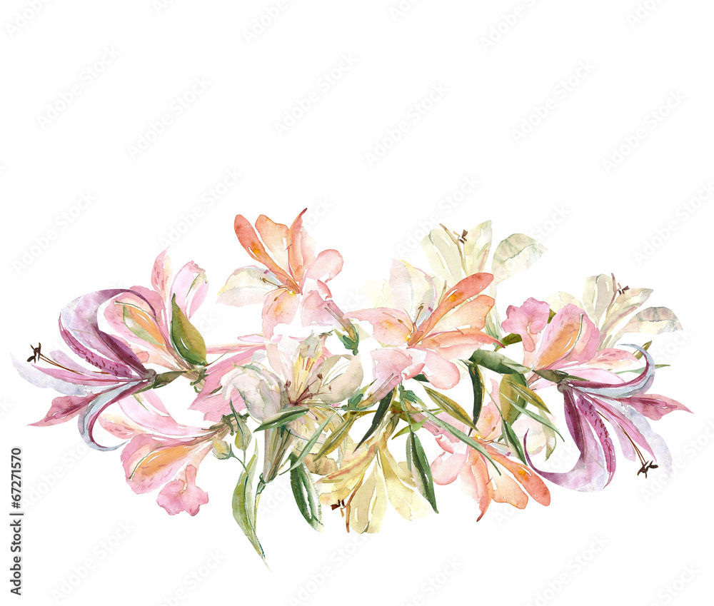 lily lily