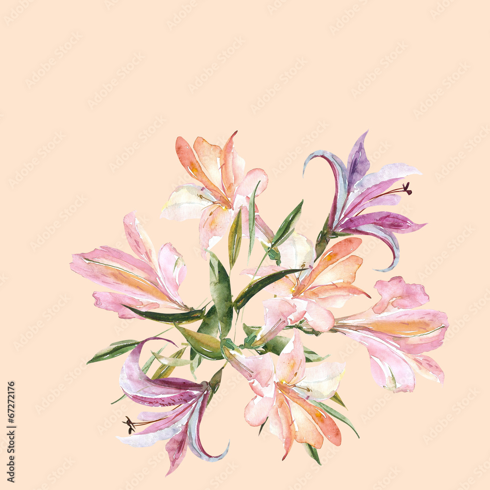 Lilies Lilies