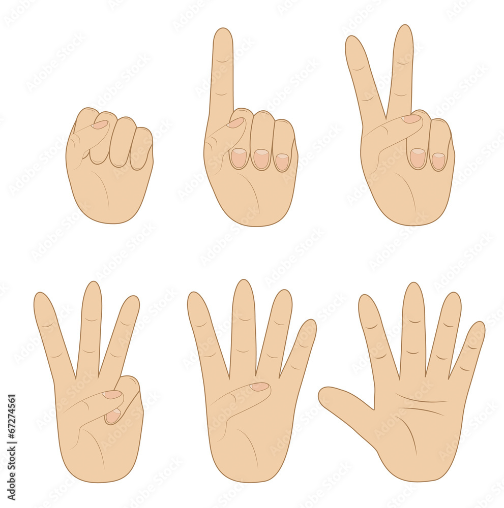 set hand, showing different number on white background set hand, showing different number on white background