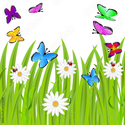 background  with flowers and butterflies
