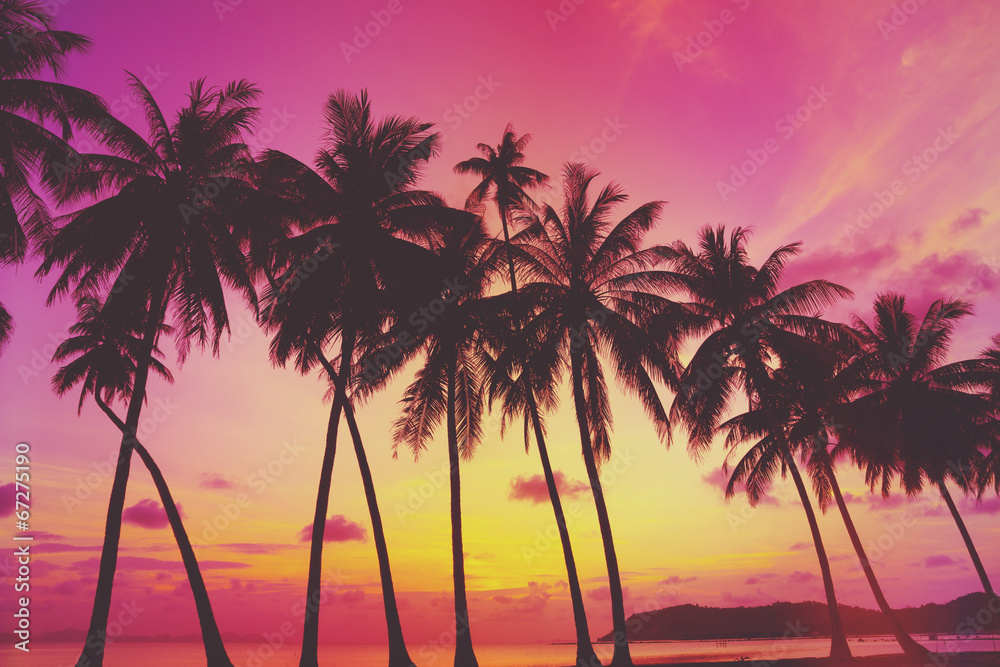 Tropical sunset over sea with palm trees