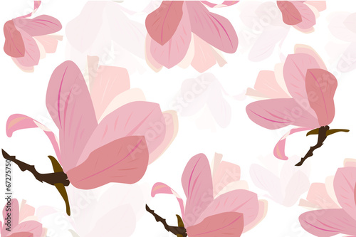 Pink magnolia flower vector background